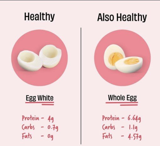 How much Protein in 1 Egg