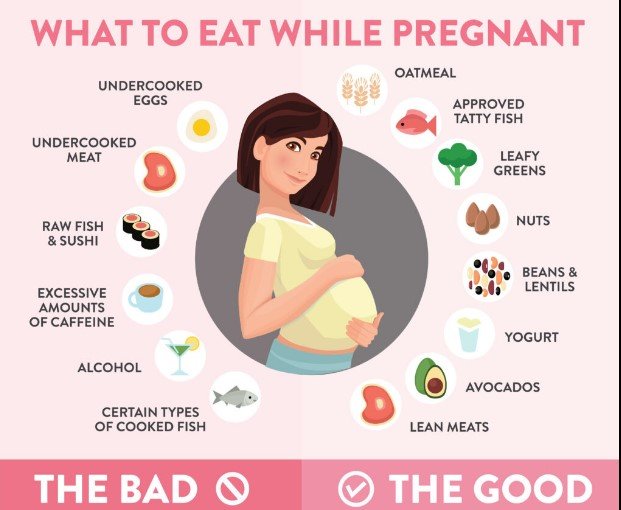 Pregnancy Diet Plan